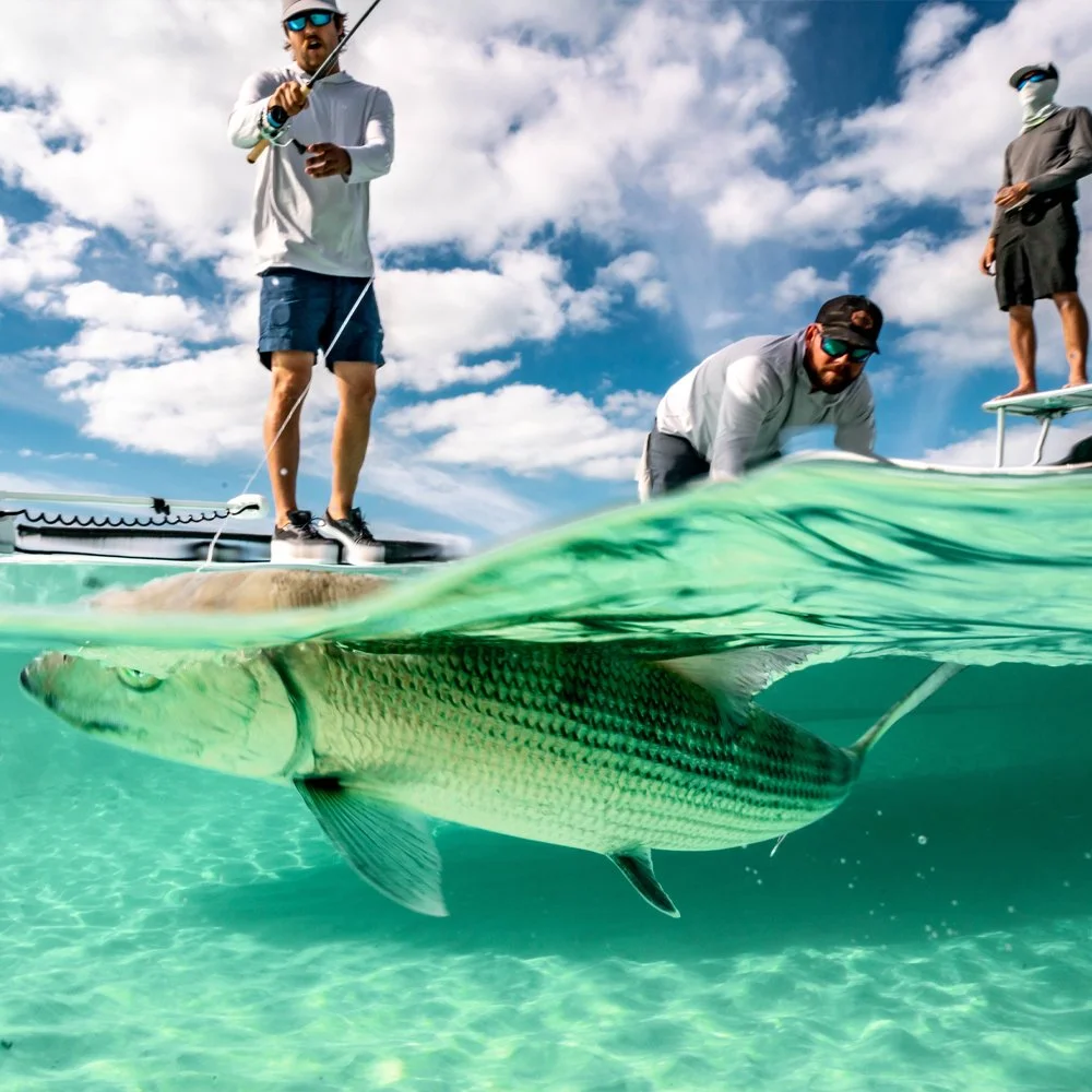 Waypoint Boasts Impressive Distribution Growth Fueled by Fishing Content