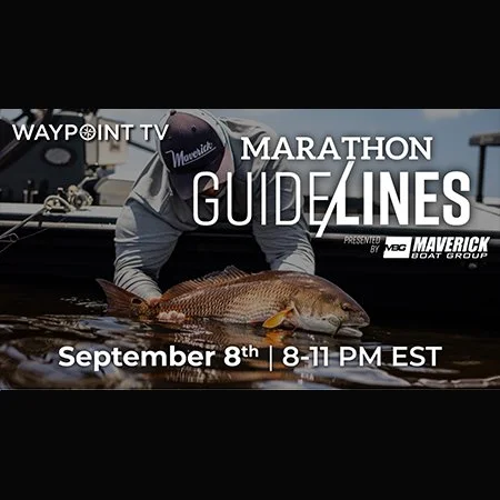 Waypoint TV continues weekly Thursday Marathons with Guidelines