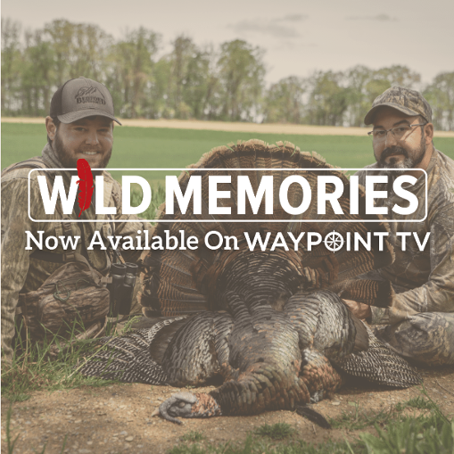 Inspirational New Veteran Produced Series, Wild Memories to VOD