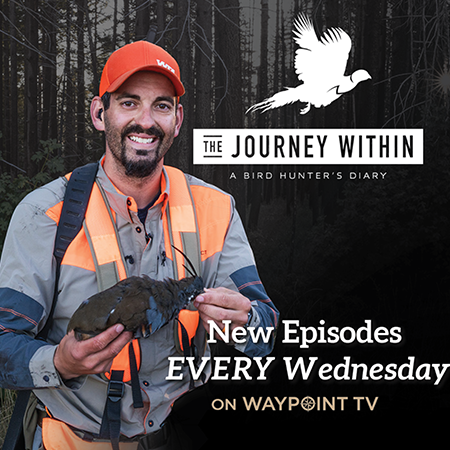 Waypoint TV To Launch New Season of The Journey Within – A Bird Hunter’s Diary, Every Week