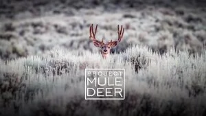  #ProjectMuleDeer