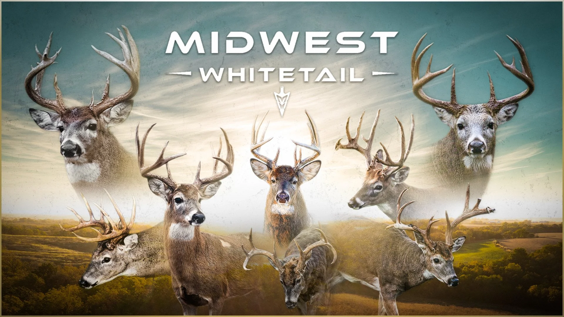 Midwest Whitetail