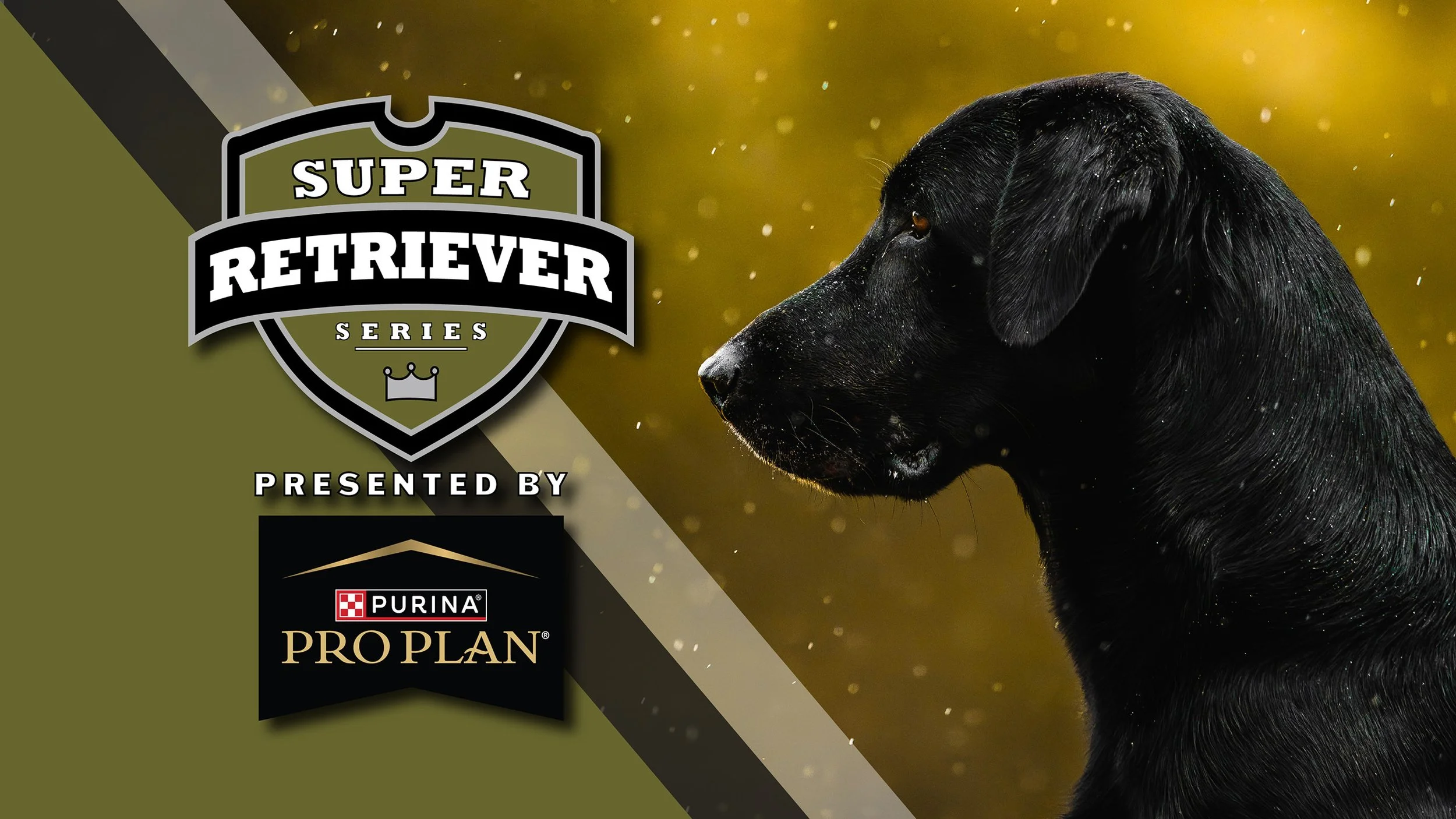 Super Retriever Series