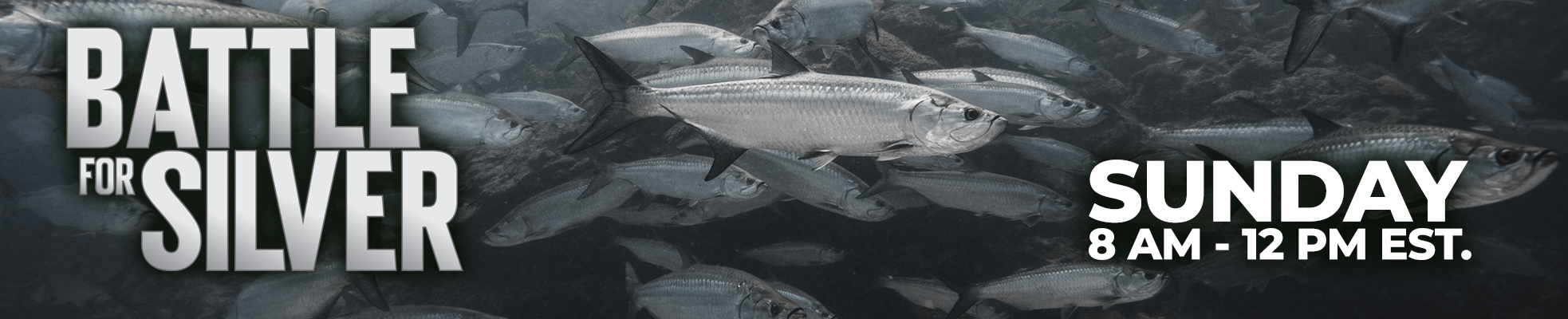 Waypoint TV Presents “Battle for Silver” – A Morning of Premier Flats and Coastal Fishing Programming