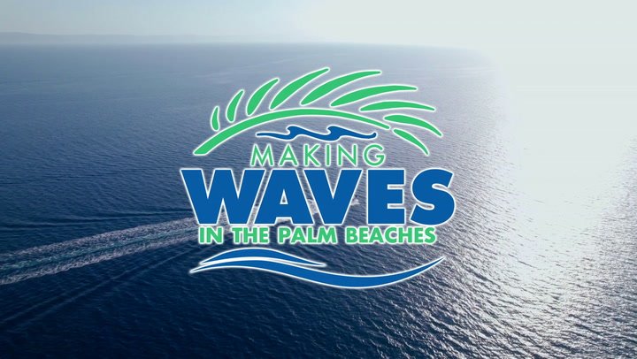 Making Waves in The Palm Beaches