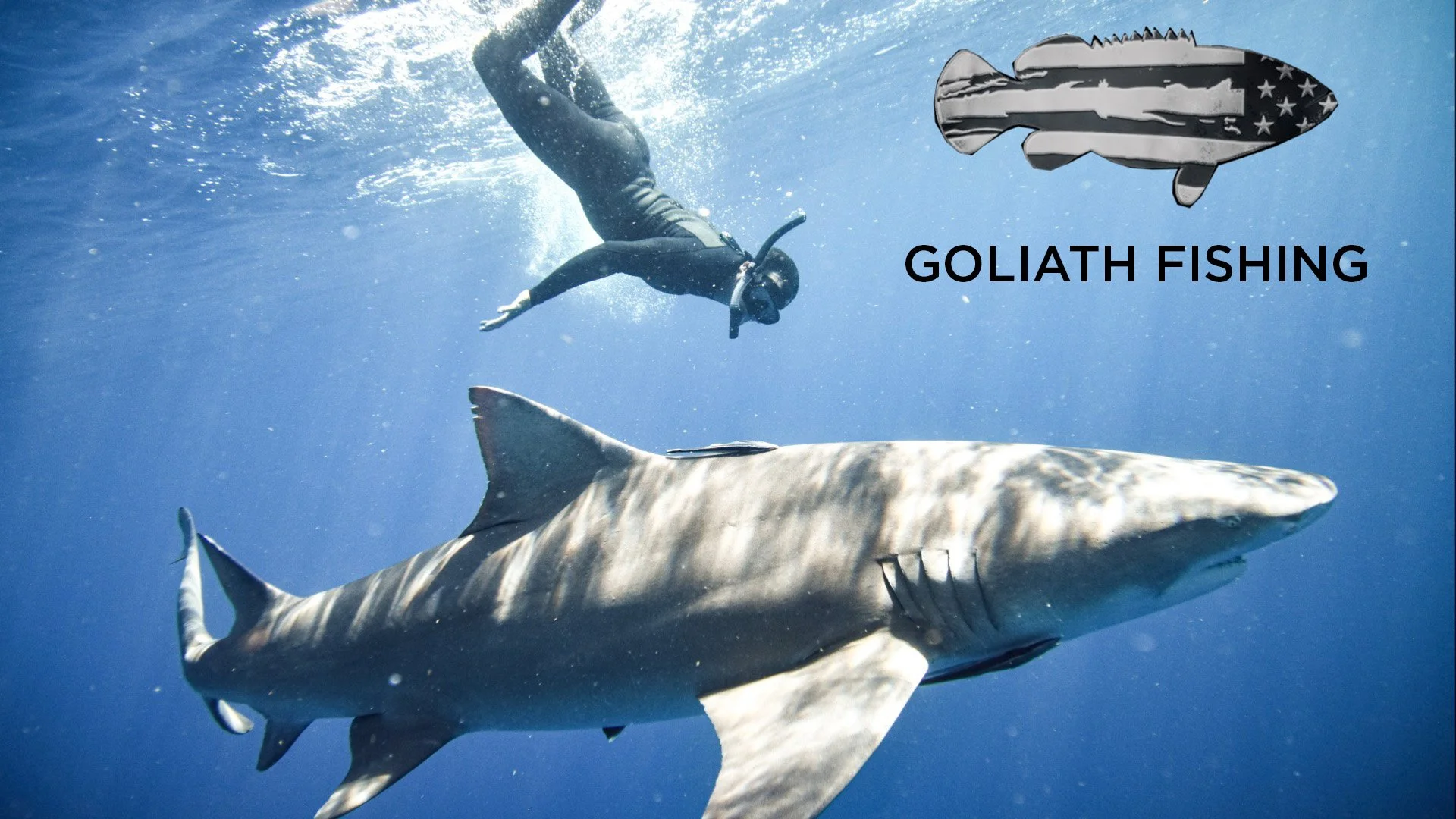 Watch Goliath Fishing For Free WAYPOINT TV