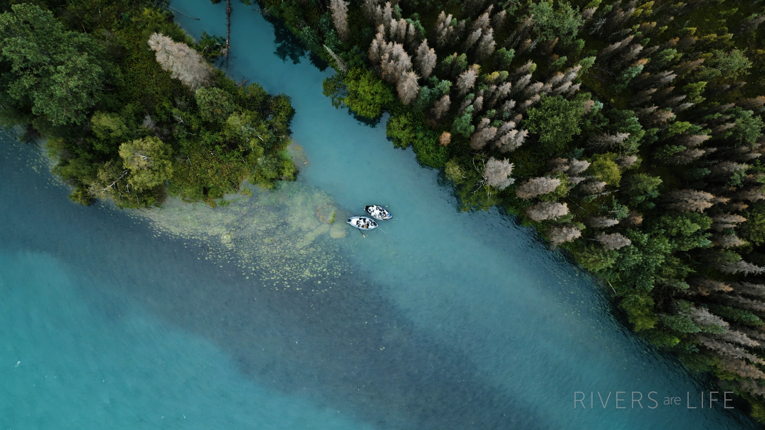 RAL_Kenai_Still015.png