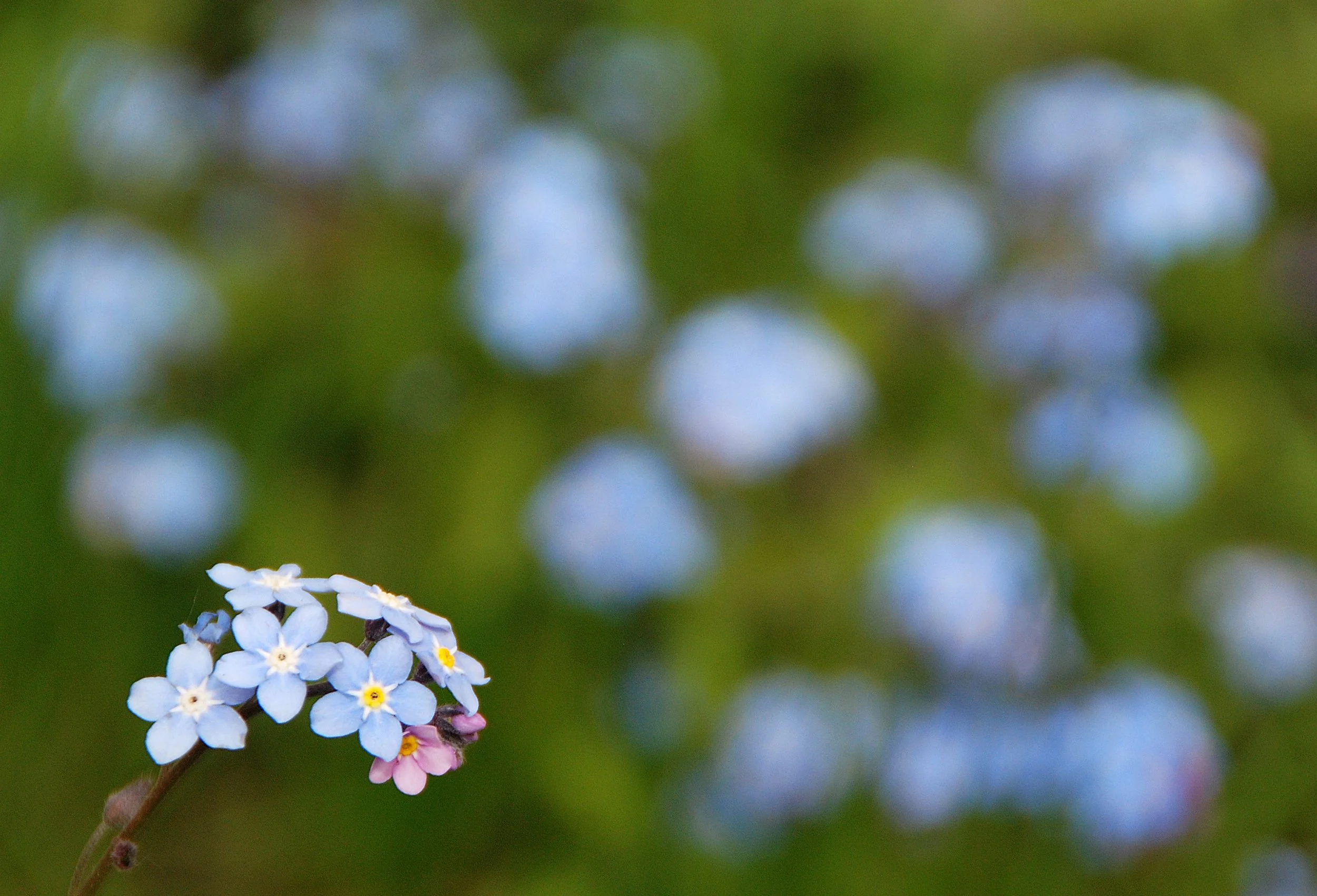 blue-blur-bright-260954.jpg