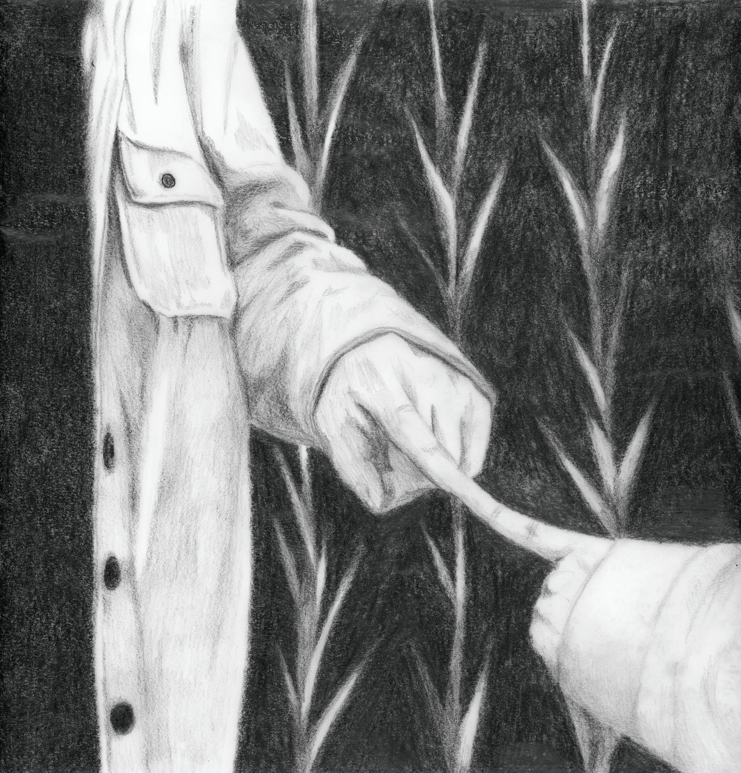 in my dream we were conjoined twins pencil on tracing paper 11” x 14” 2025