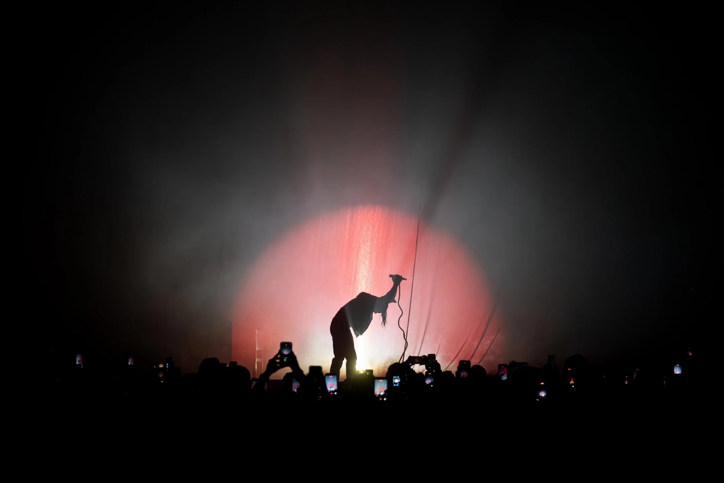 LANY-2.jpg