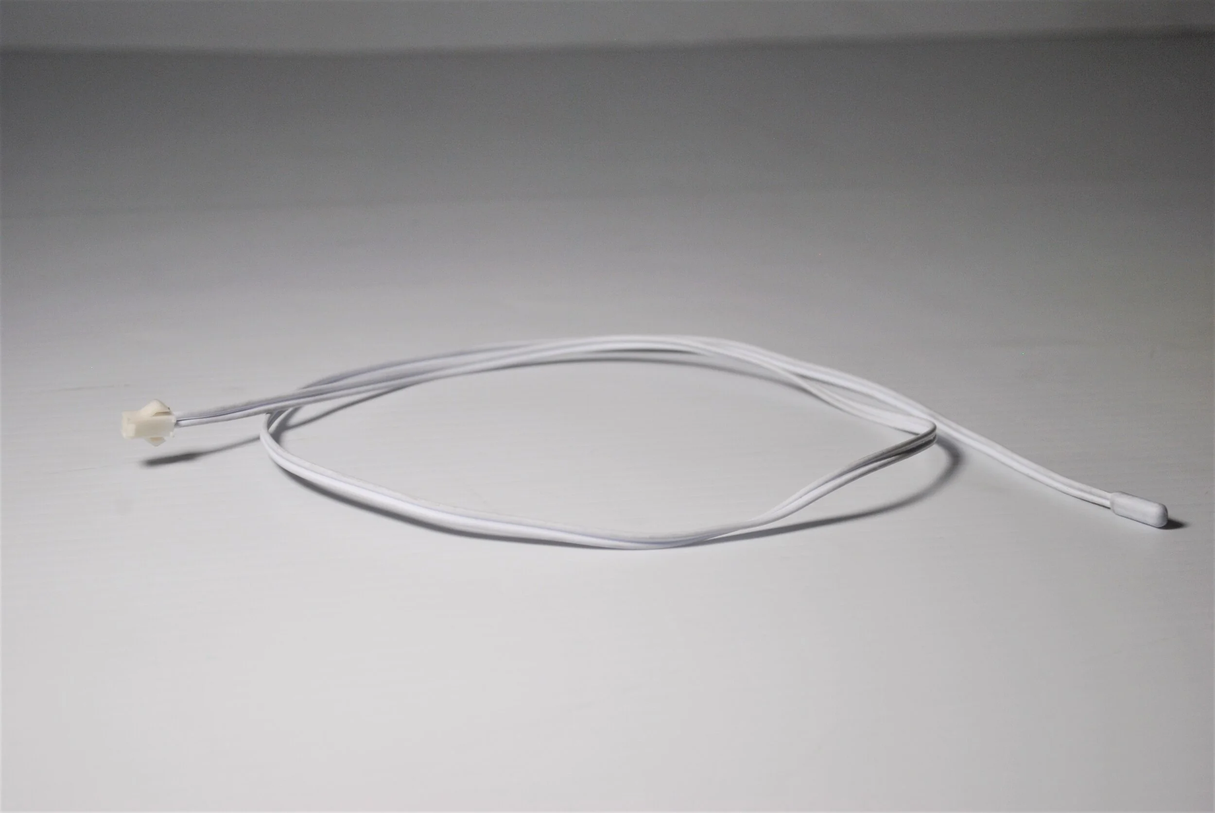 BISON SENSOR PROBE W0302304.JPG