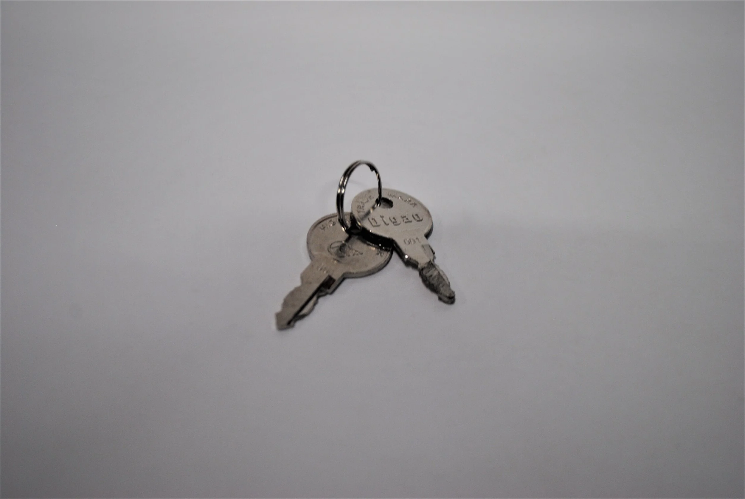 KEY 12546310002.jpg
