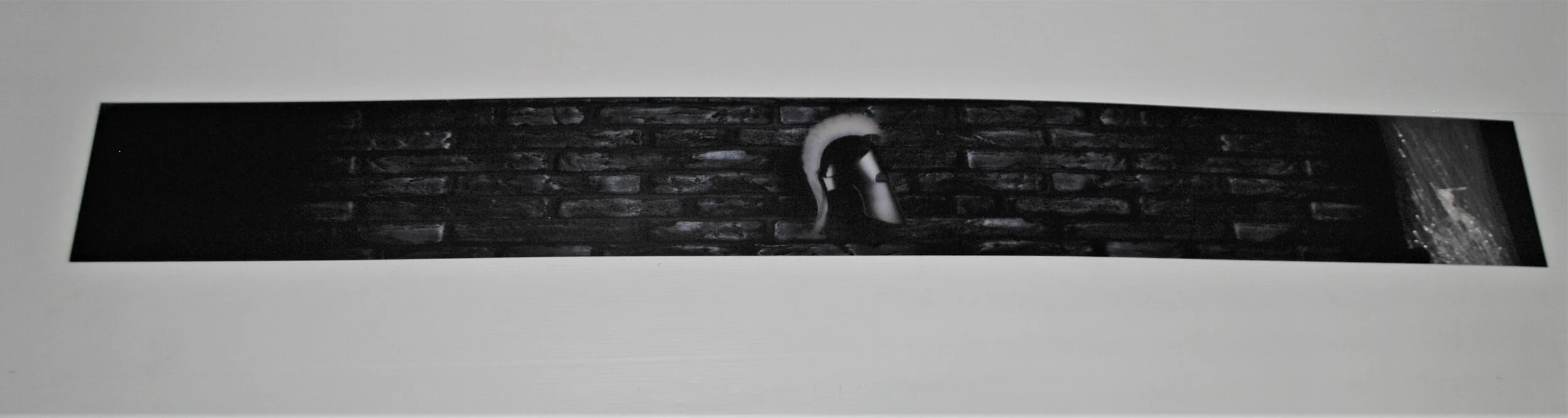 LAMP BOX PLATE 1930.jpg