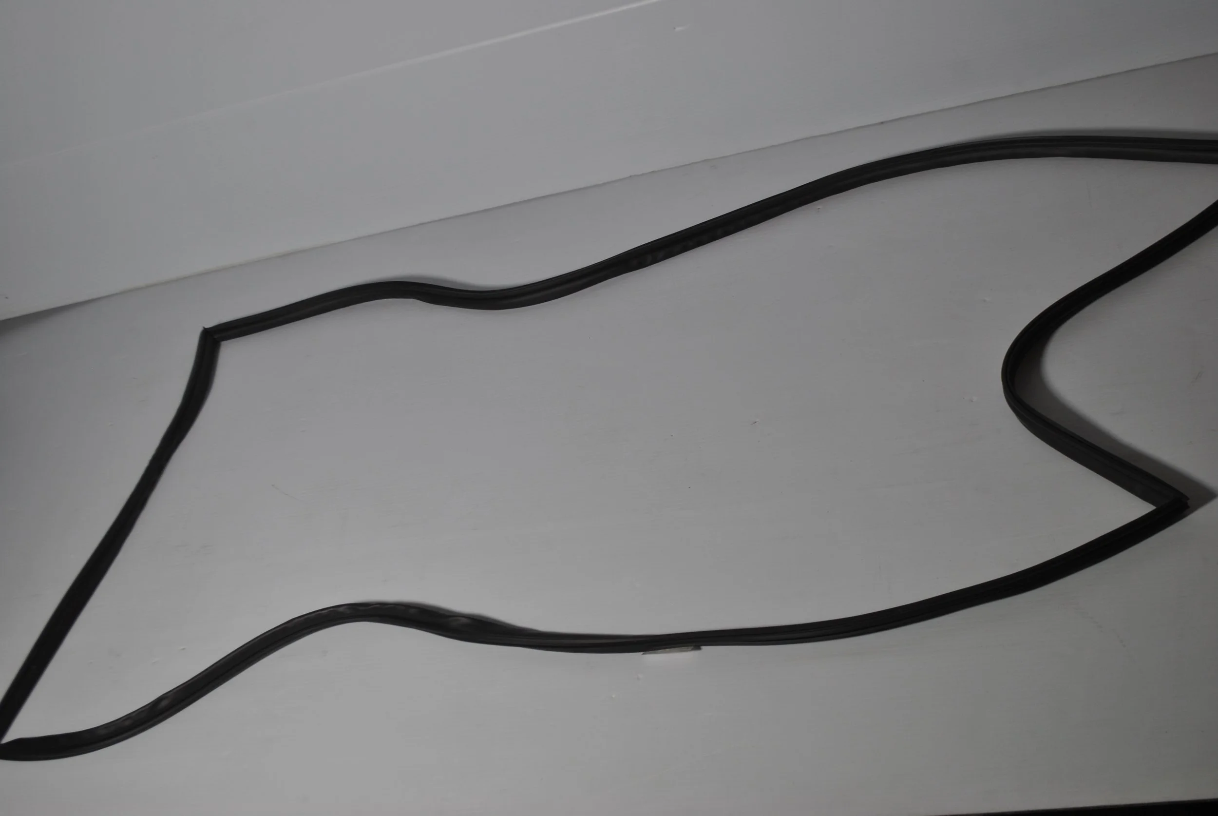 Gasket 16401781440.JPG