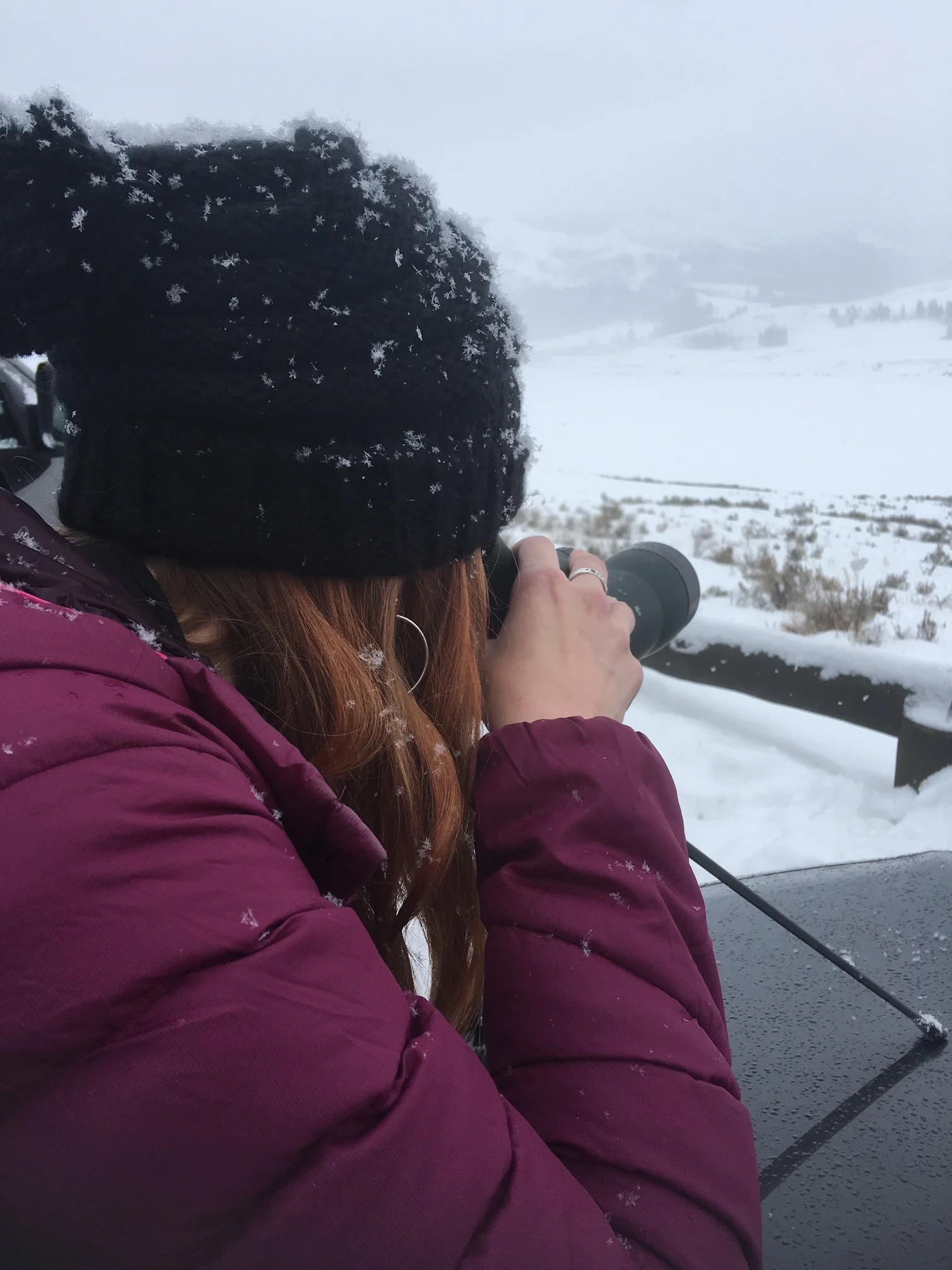  Inspired by Wilderness 