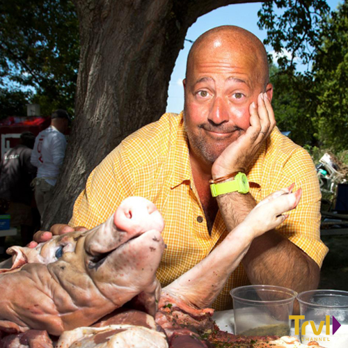 Bizarre Foods with Andrew Zimmern