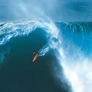 Condition Black - PBS NOVA