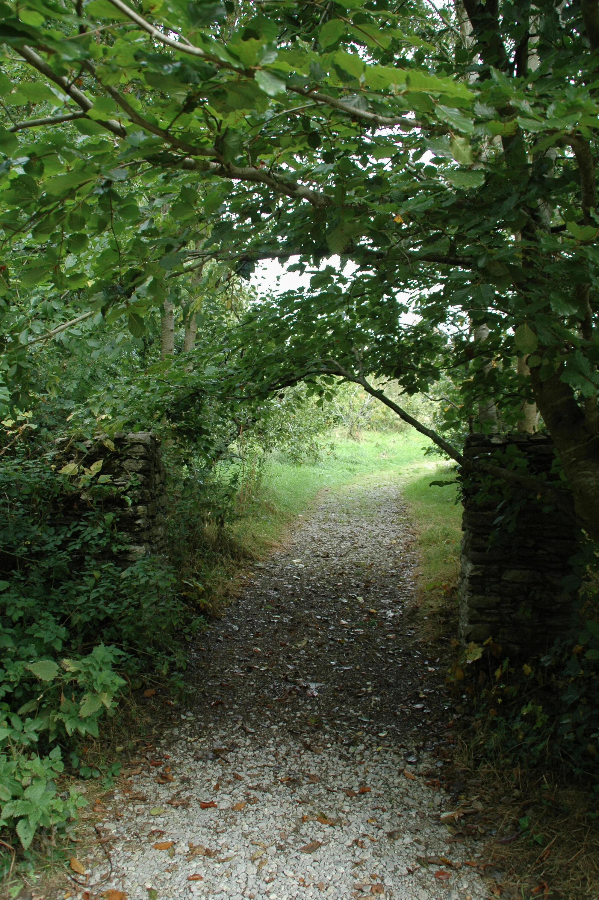 DSC_7442.jpg