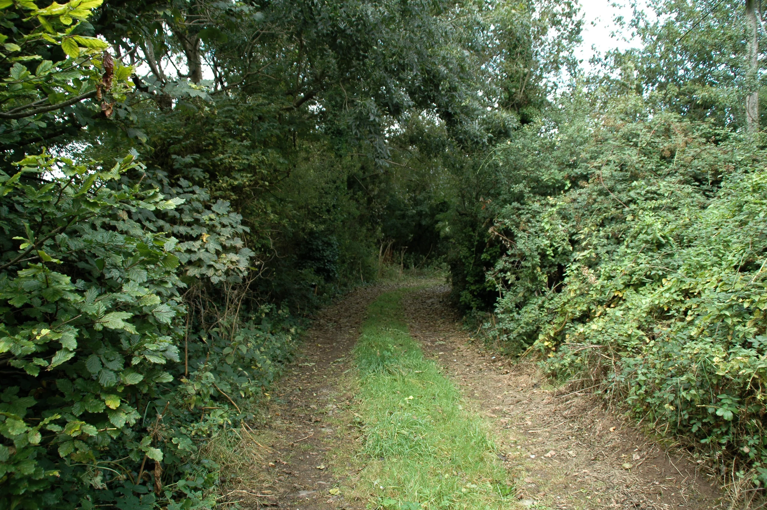 DSC_7439.jpg