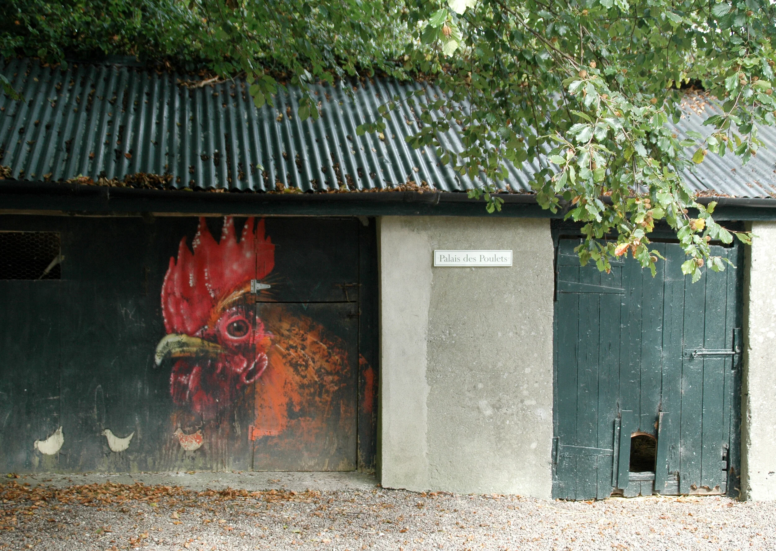DSC_7511.jpg