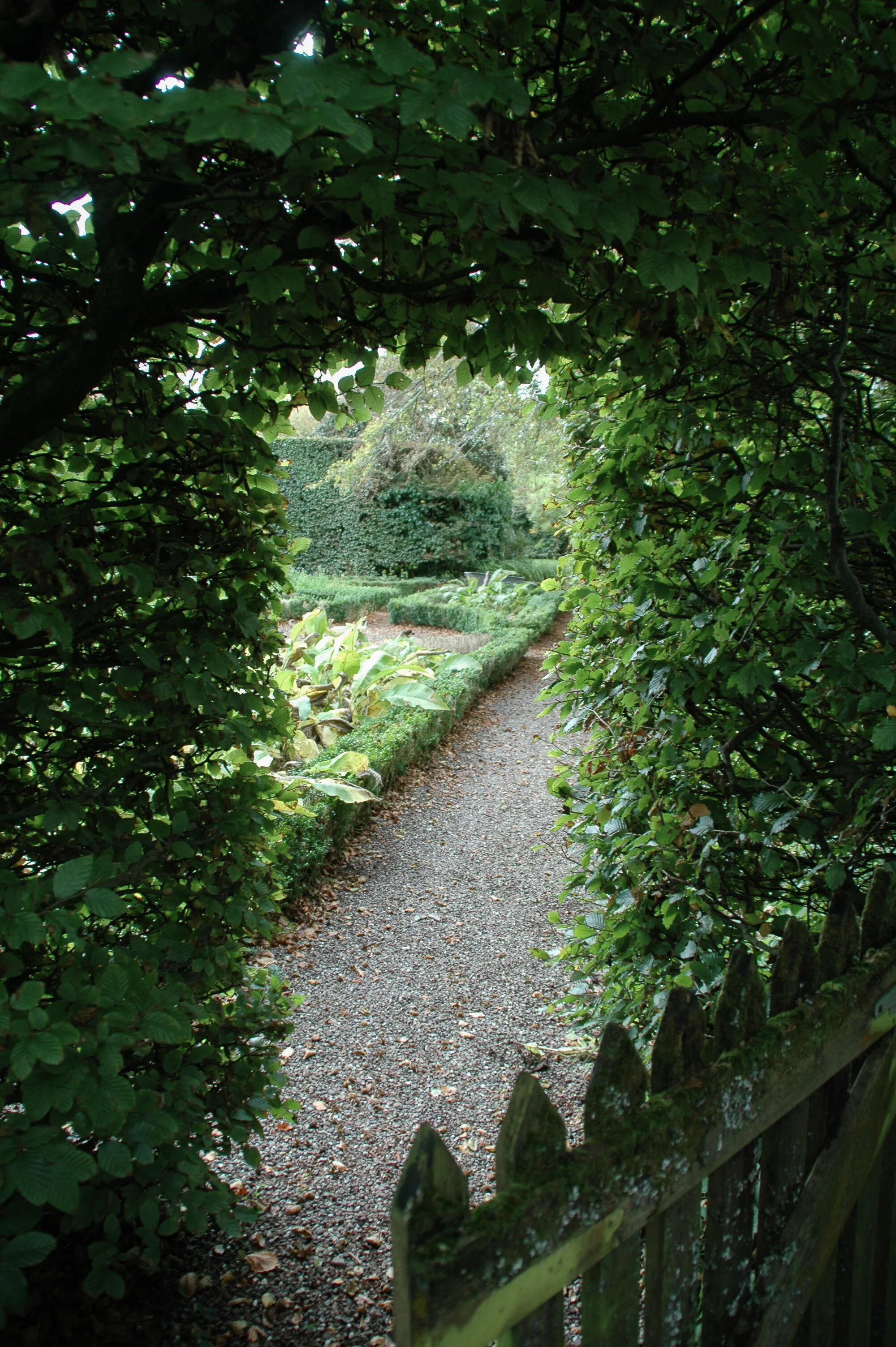 DSC_7632.jpg