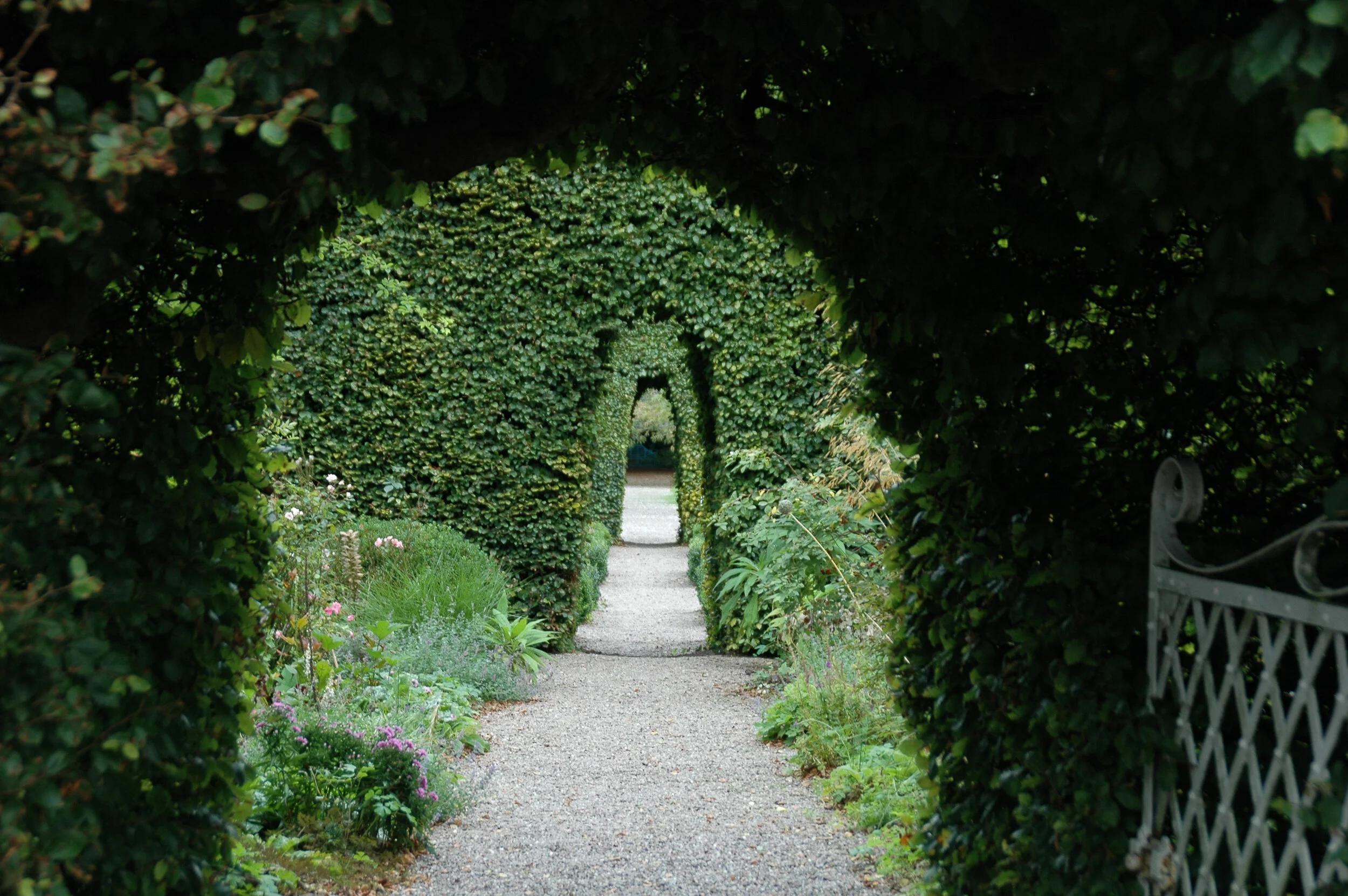 DSC_7721.jpg