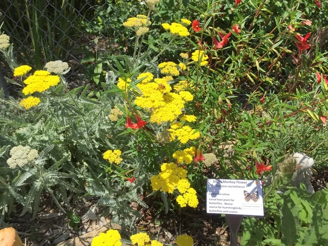 Garden+2.jpg