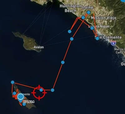 Omaha left Aliso Creek Beach, cruised south towards San Clemente, then back north to the release site. Omaha traveled to San Clemente Island where he has remained for a few days.