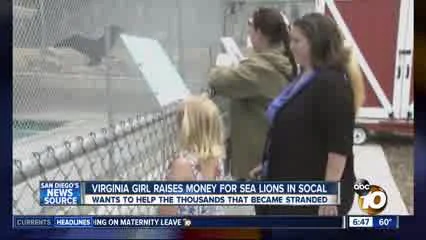 kgtv-sd-pmmc.jpeg
