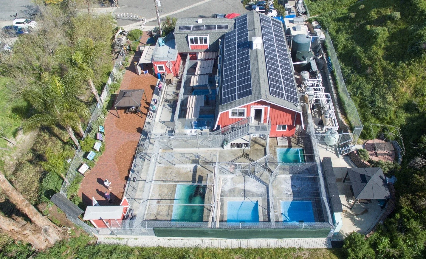 Greening of PMMC.jpg