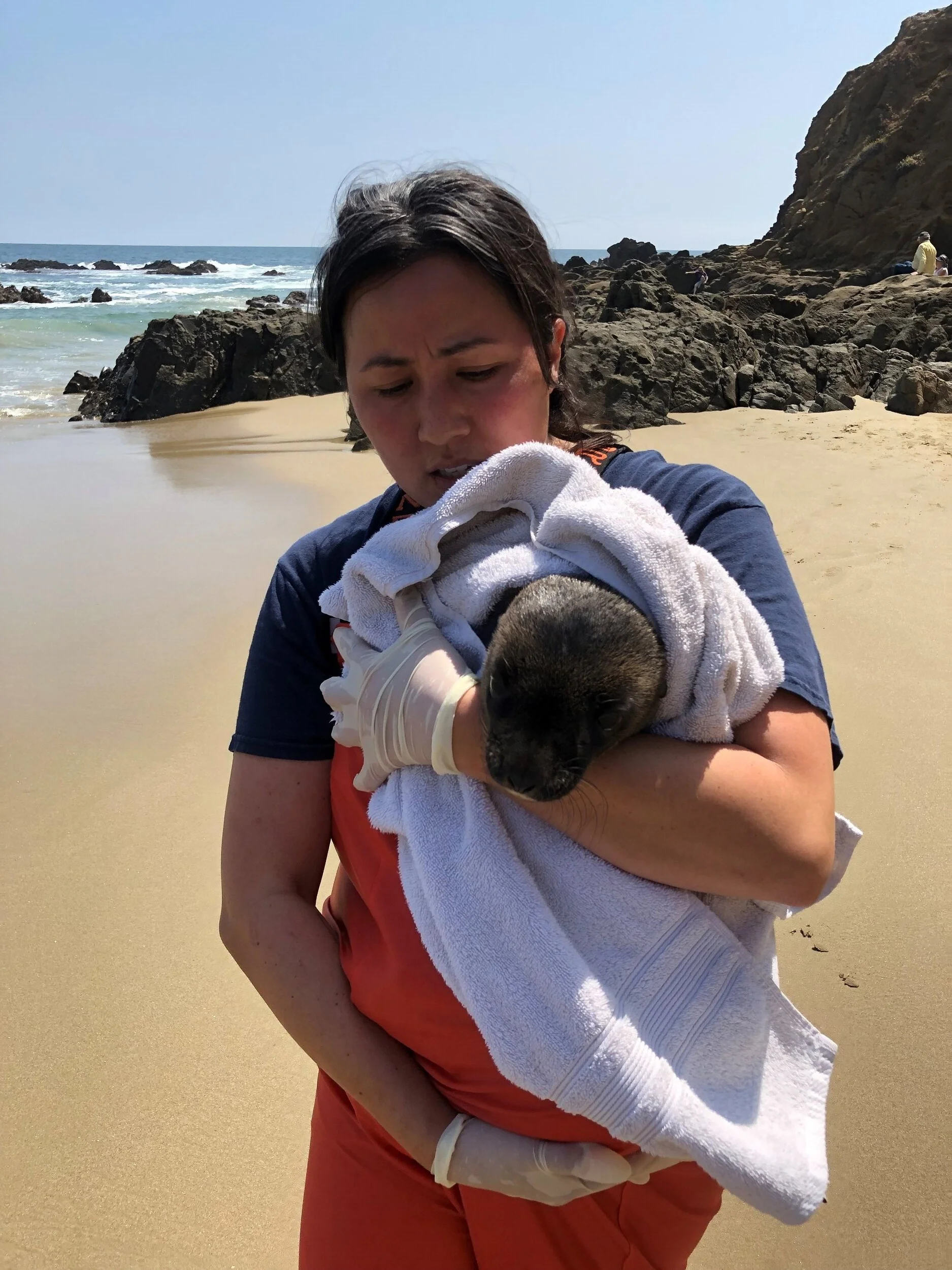 Krysta rescuing a newborn sea lion at Cresent Bay.