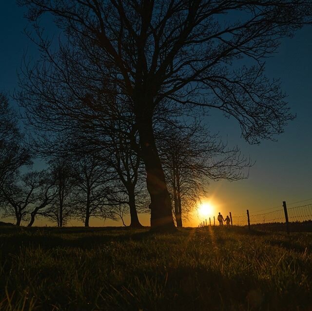 Lovers in the sunset. #lovers #sunset #trees #dreamyart #landscape #photographer #m&aelig;ndmedkamera #eversnaturephotography