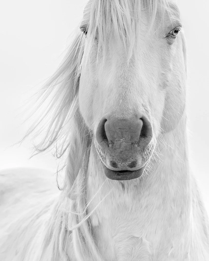 Join us for a &ldquo;Meet the Artist&rdquo; reception with photographer Maria Marriott, featured in our current exhibition Through the Fog, alongside Todd Pickering and Christopher Erin.
Thursday, April 23, 5:30&ndash;7:30PM
Cavallo Point Mercantile 