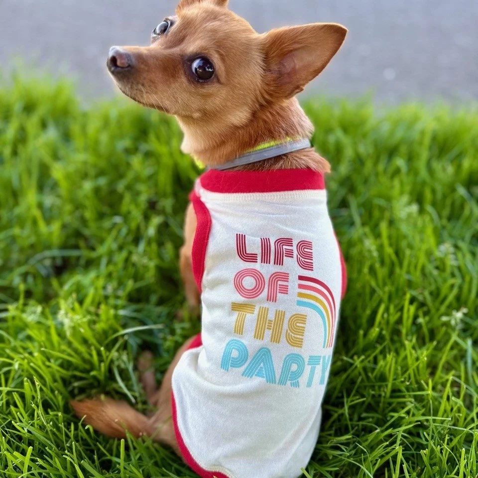 We love our four-legged guests, too 🐾
At Cavallo Point, dogs are always part of the experience, and the Mercantile is stocked with thoughtful finds for your favorite sidekick, from everyday essentials to treats and locally made favorites.
Meet Pixel