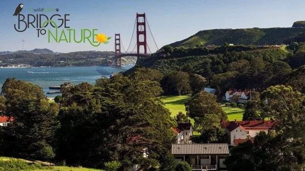 Wildlife. Family. Community. One unforgettable Sunday. 
For the past eight years, we've been proud to partner with WildCare for one of our favorite events of the year, &ldquo;Bridge to Nature: A WildCare Celebration&rdquo;.
Join us Sunday, July 26 | 