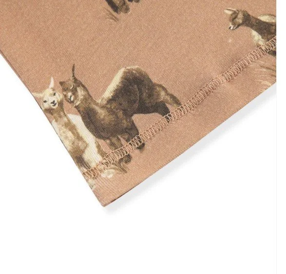 Alpaca.jpg