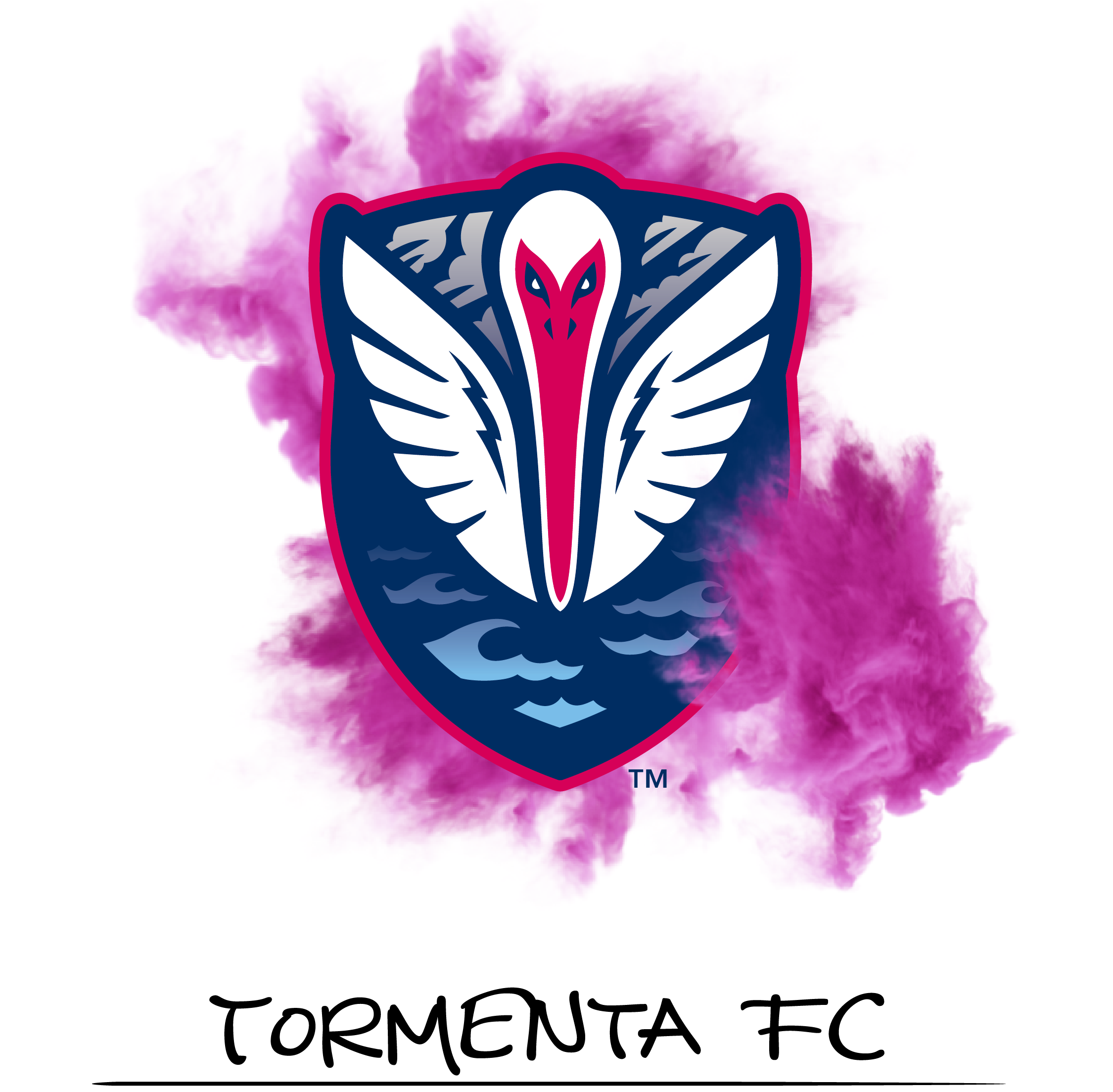 TormentaFC-1-IntroResearch_Primary.png