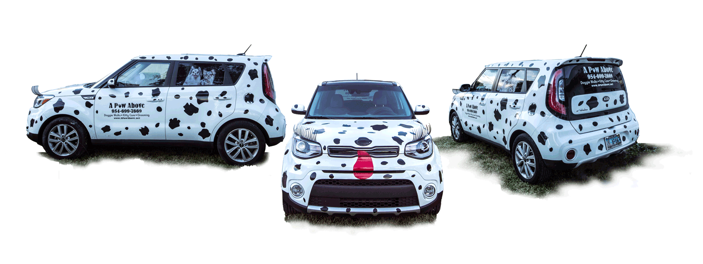 3-Cars.gif