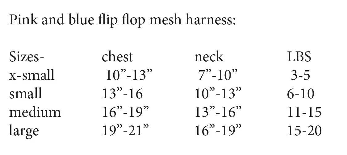 flipflop.jpg