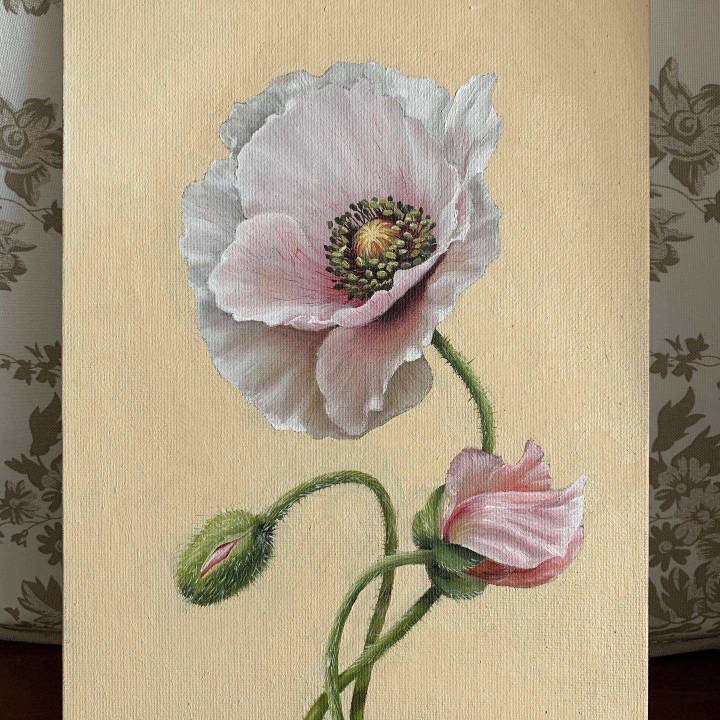 ✨Oriental Poppy - oil on canvas panel 7 x 9.5 ✨