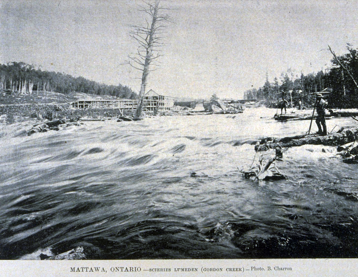 La scierie Lumeden à Gordon Creek, 1895