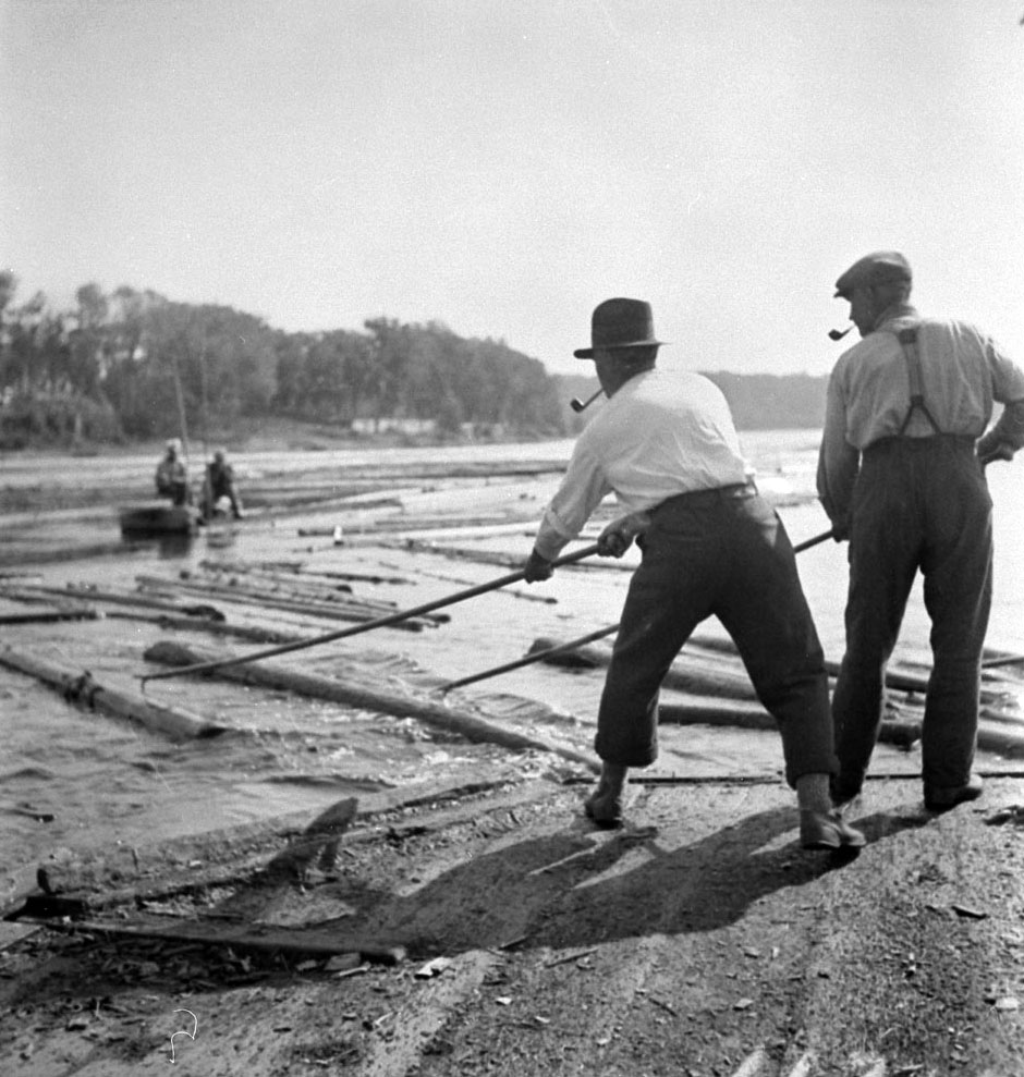 Sorting timber, Pointe-Gatineau