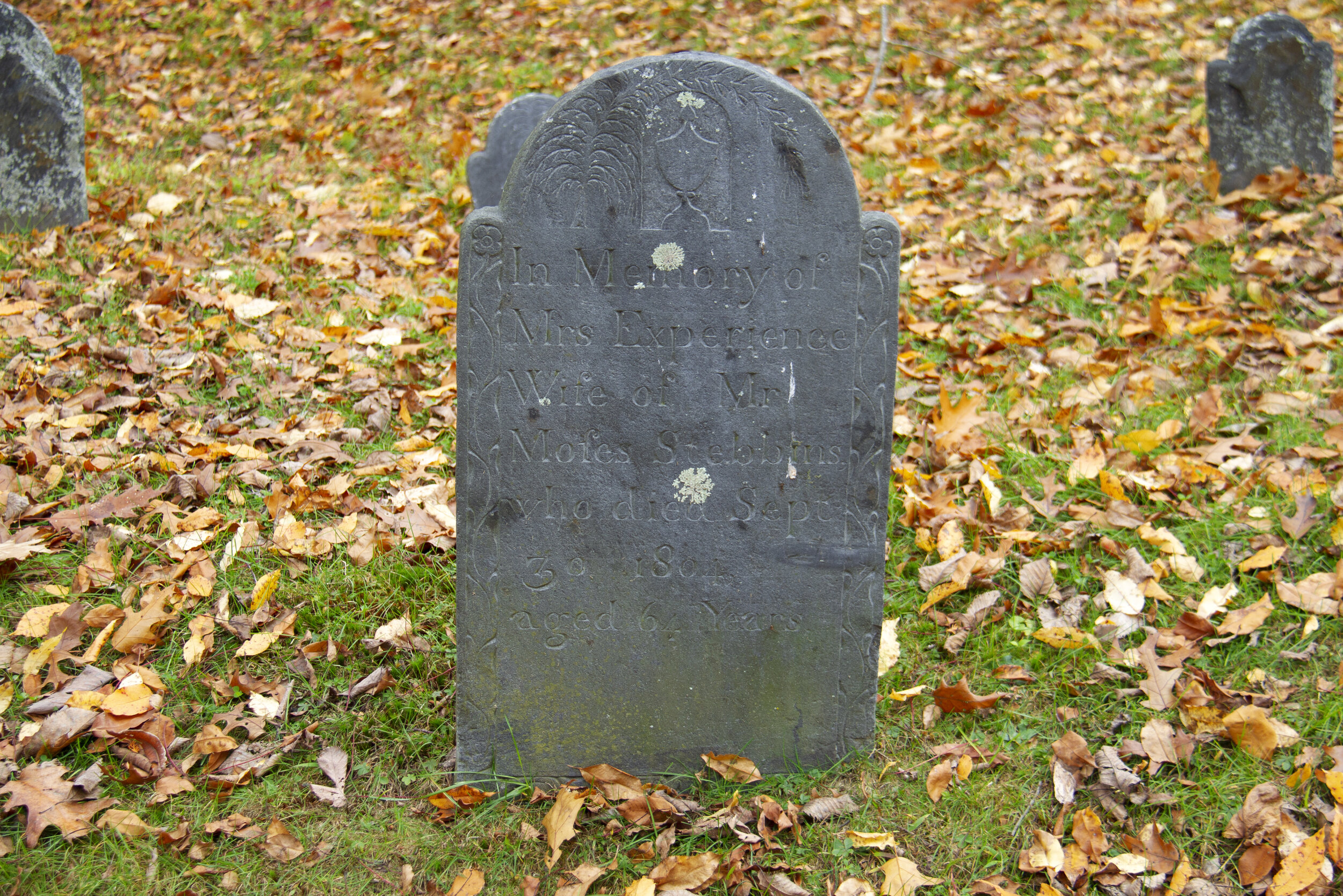 Pierre tombale Stebbins, ancien cimetière de Deerfield