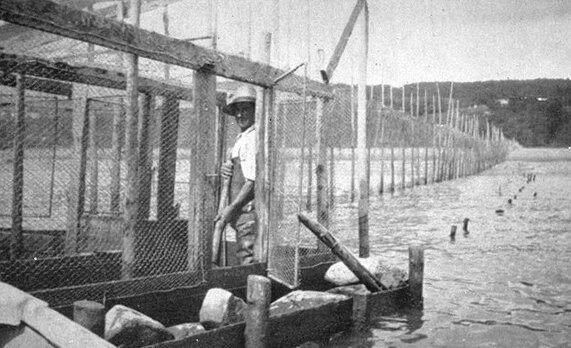 « Pêche à l'anguille, Île d'Orléans »