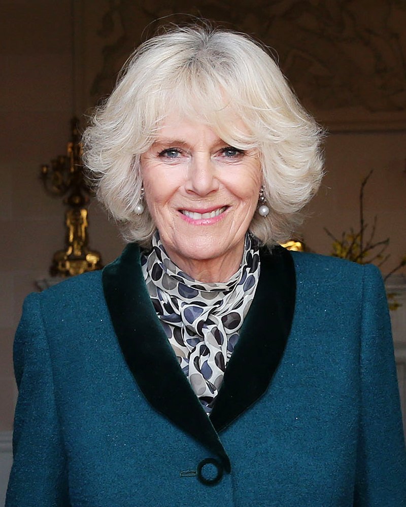 Queen Camilla, my 11th cousin