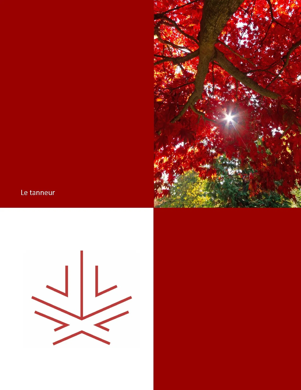L'ancien métier de tanneur (article en format PDF)