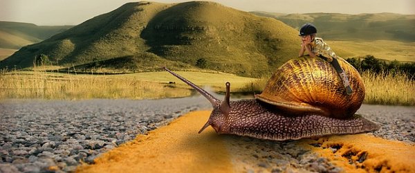 boy-riding-on-snail.jpg