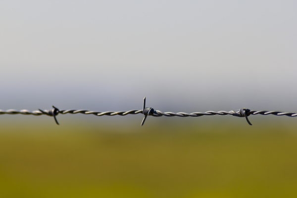 barbed-wire.jpg