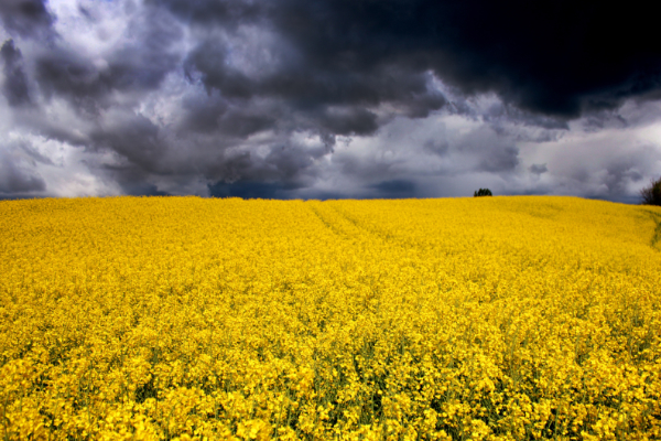 dark-clouds.jpg