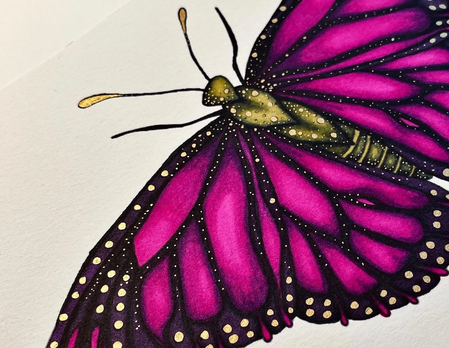 I usually shy away from coloring butterflies though I really enjoyed this one!! I might be a little biased having spent weeks drawing this guy. Haha! But it was super fun to color!! I hope you all enjoy it as much as I do 💜💜
.
There are also a few 